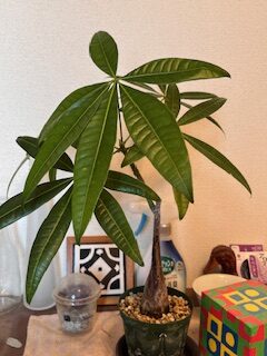 暗い場所アイキャッチ