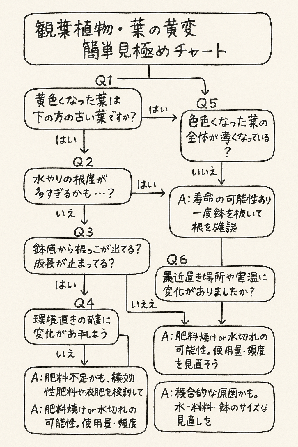 チャート