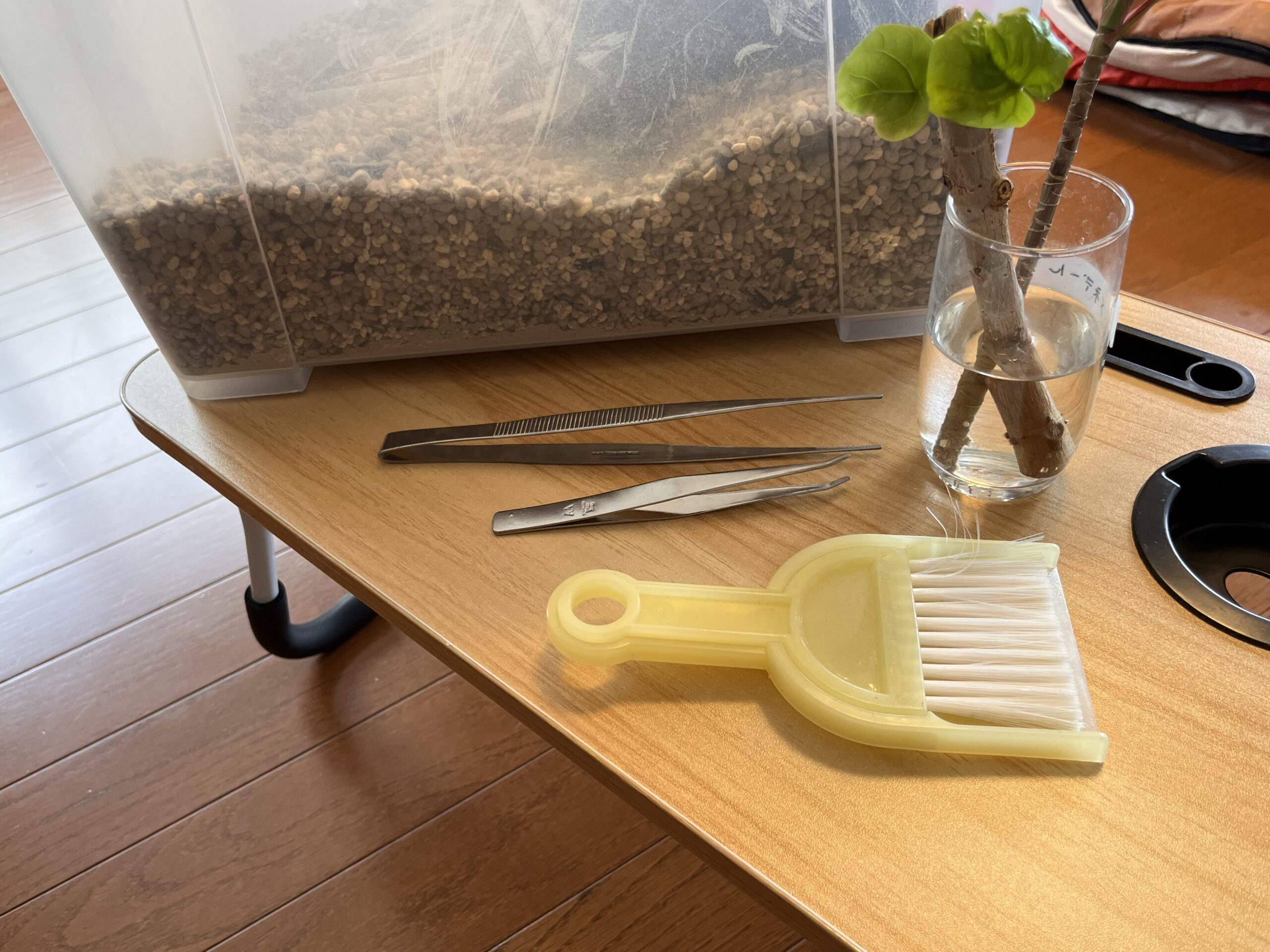 観葉植物ライフがはかどるアイテムたち
