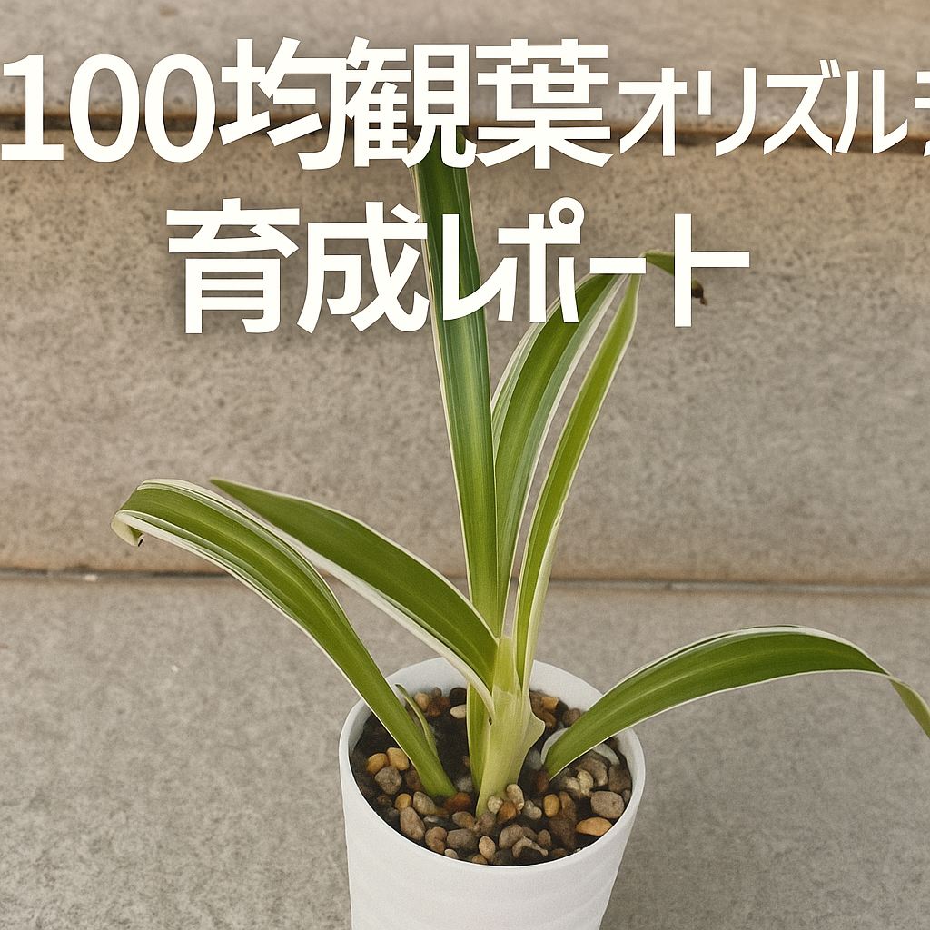 オリズルラン①アイキャッチ