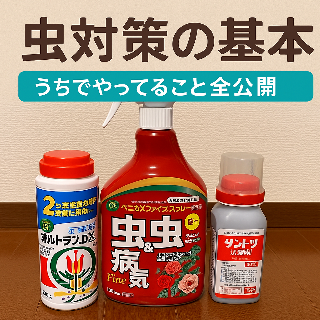 虫対策　画像