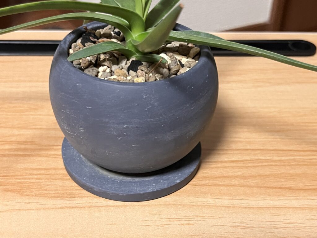 陶器鉢