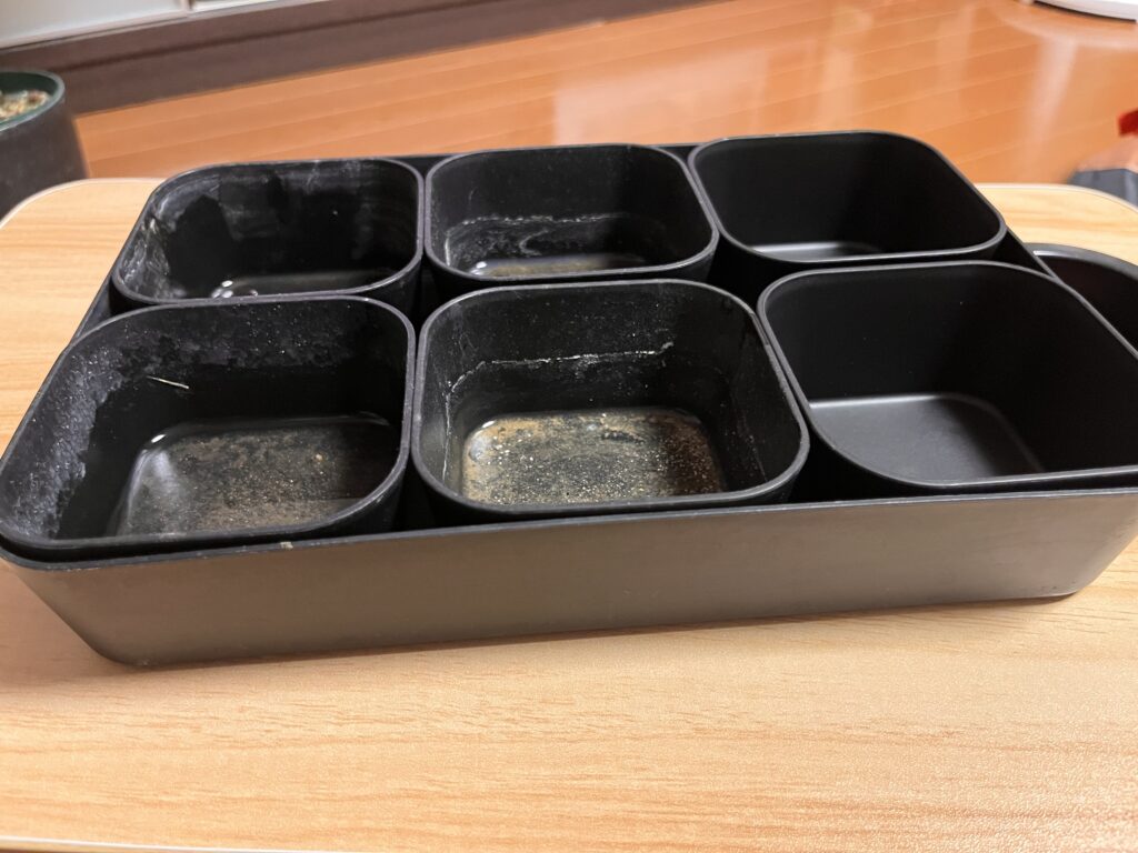 整理トレイL×XS