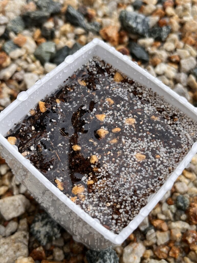 水が溜まっている画像