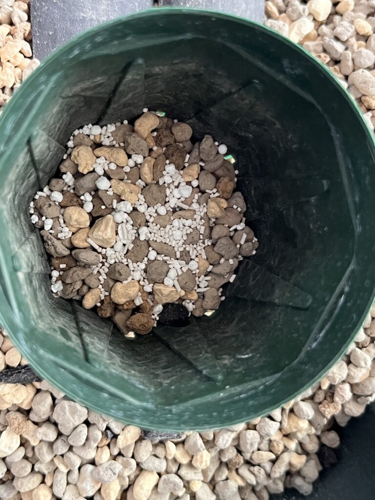 マグァンプ、オルトランを入れた画像