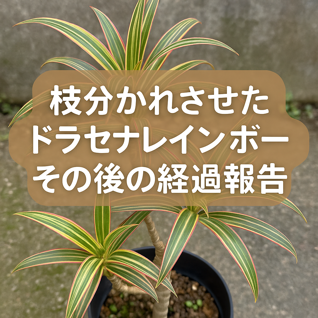 枝分かれチャレンジその後経過報告アイキャッチ画像