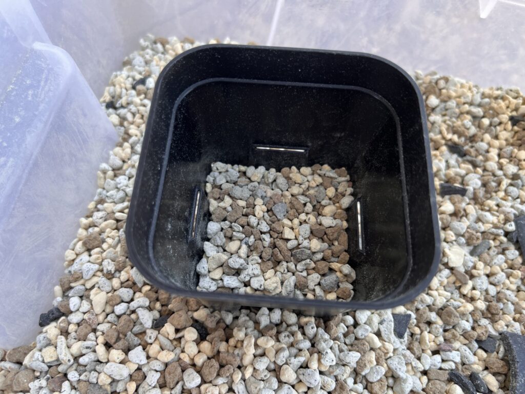 鉢の3分の1土を入れた画像