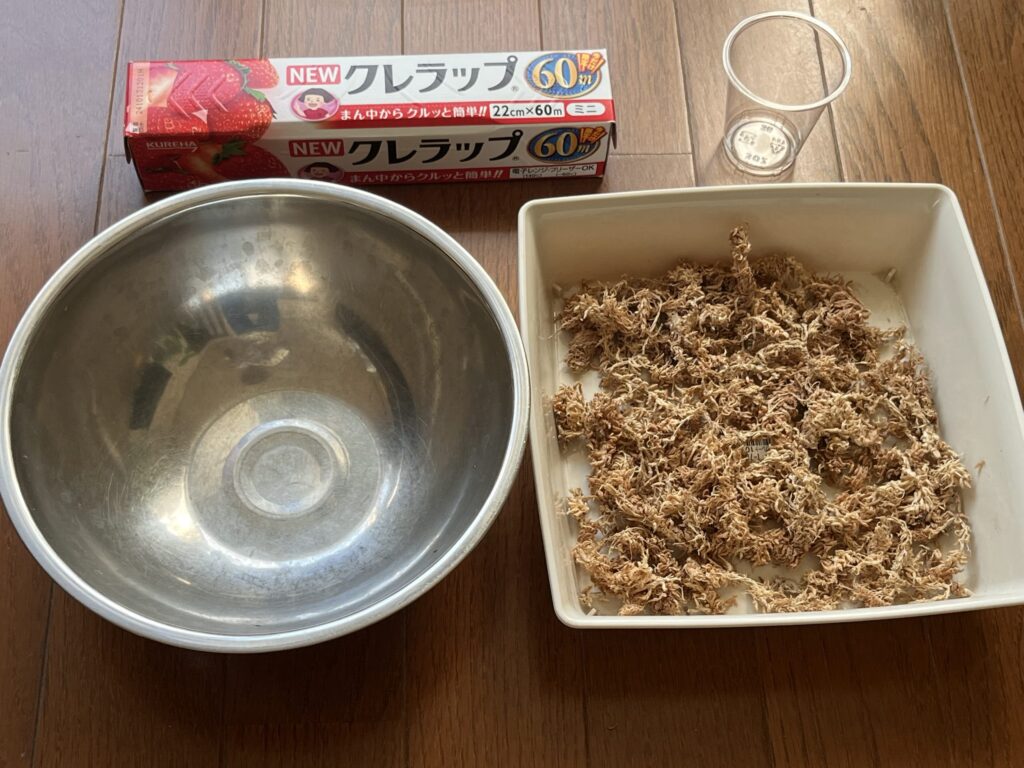 パキラの種まきに必要なもの