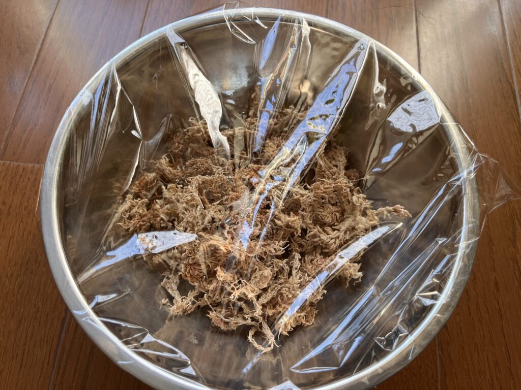 水苔を戻す②