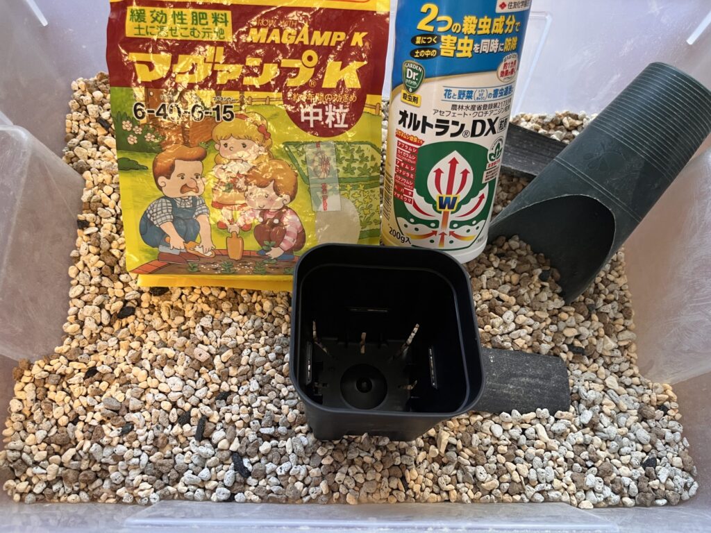 パキラの鉢上げに必要なもの