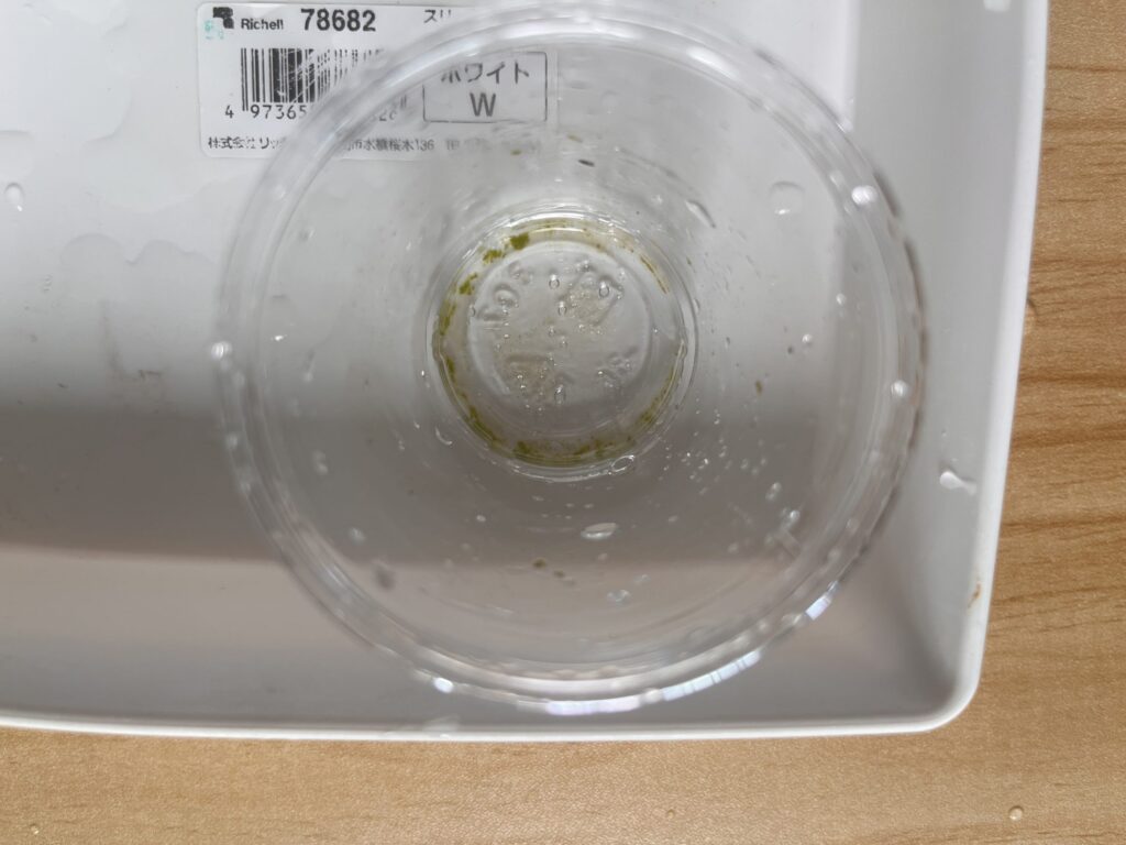 3か月後_遮光なし②