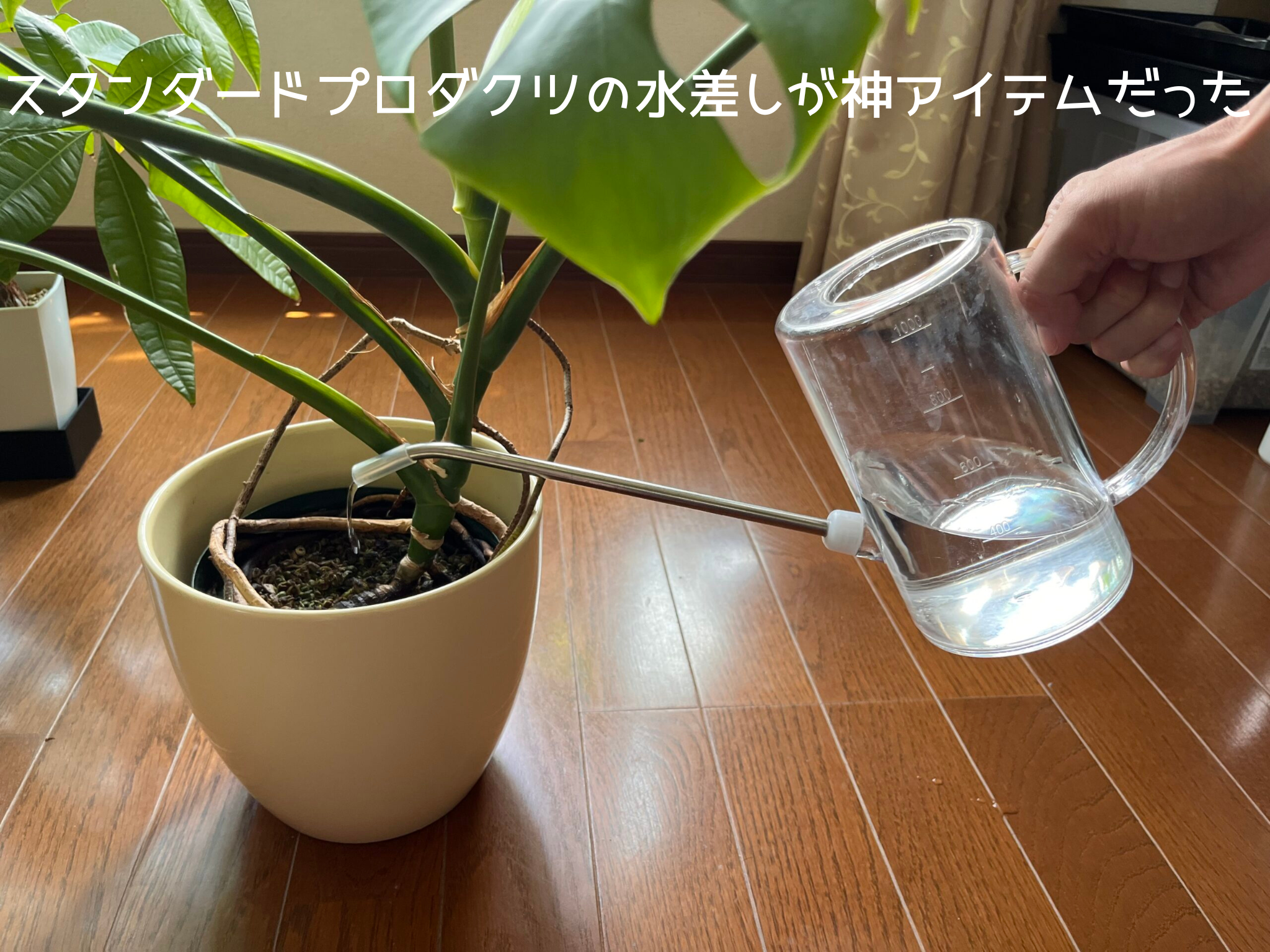 スタプロ水差し