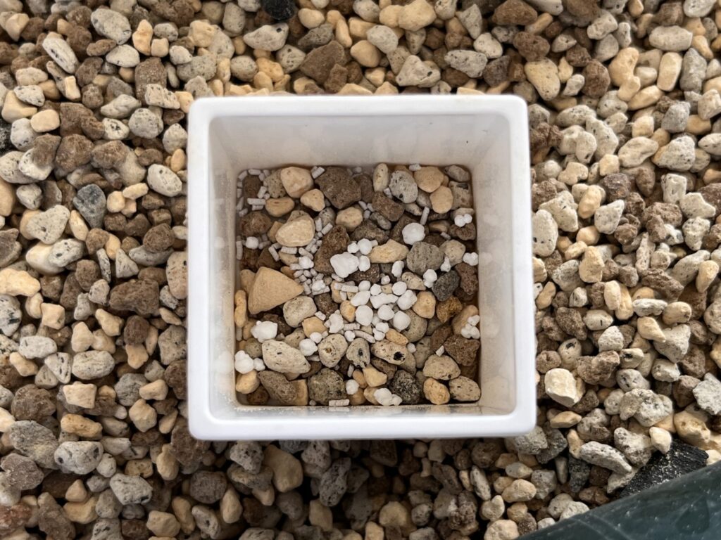 自分でブレンドした用土に、マグァンプK、オルトランDXを入れた画像