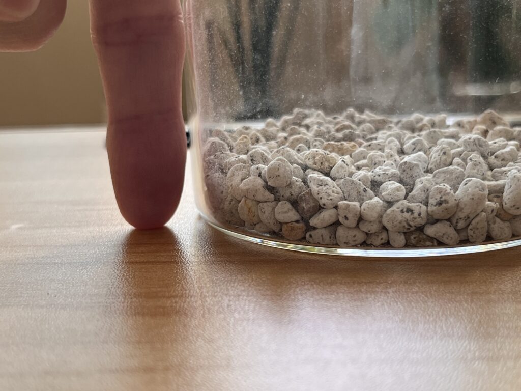 ガラス容器に入れた軽石