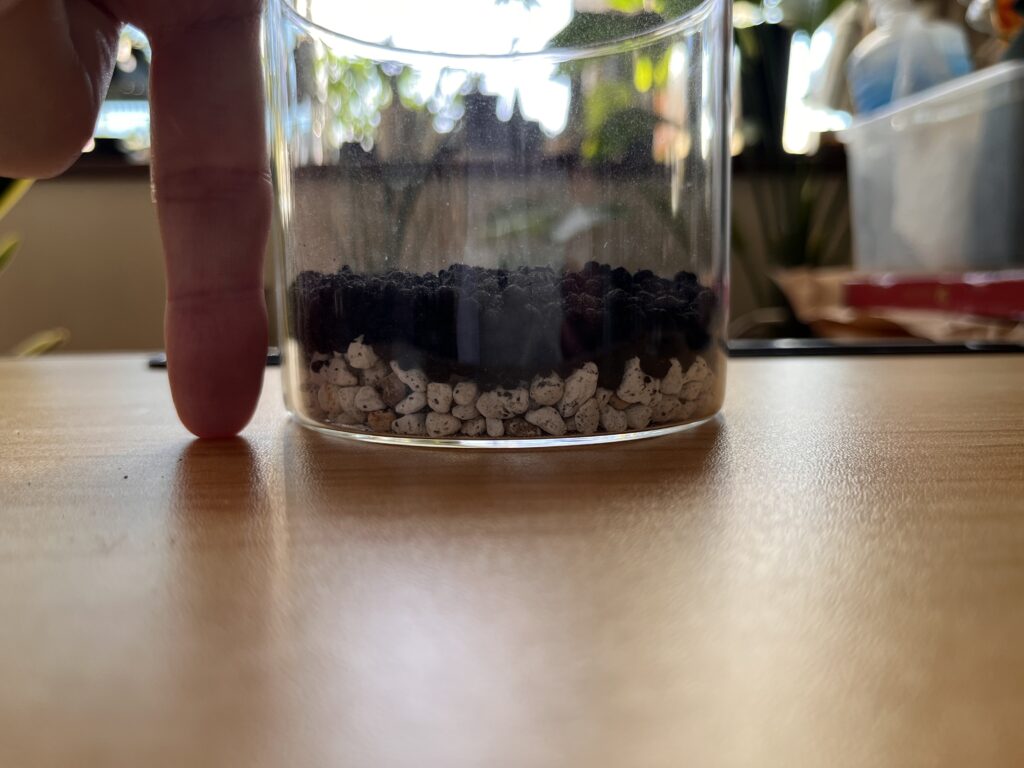 ソイルを入れた画像