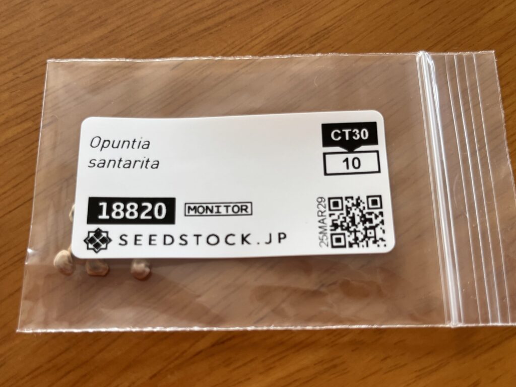 おまけで頂いた種