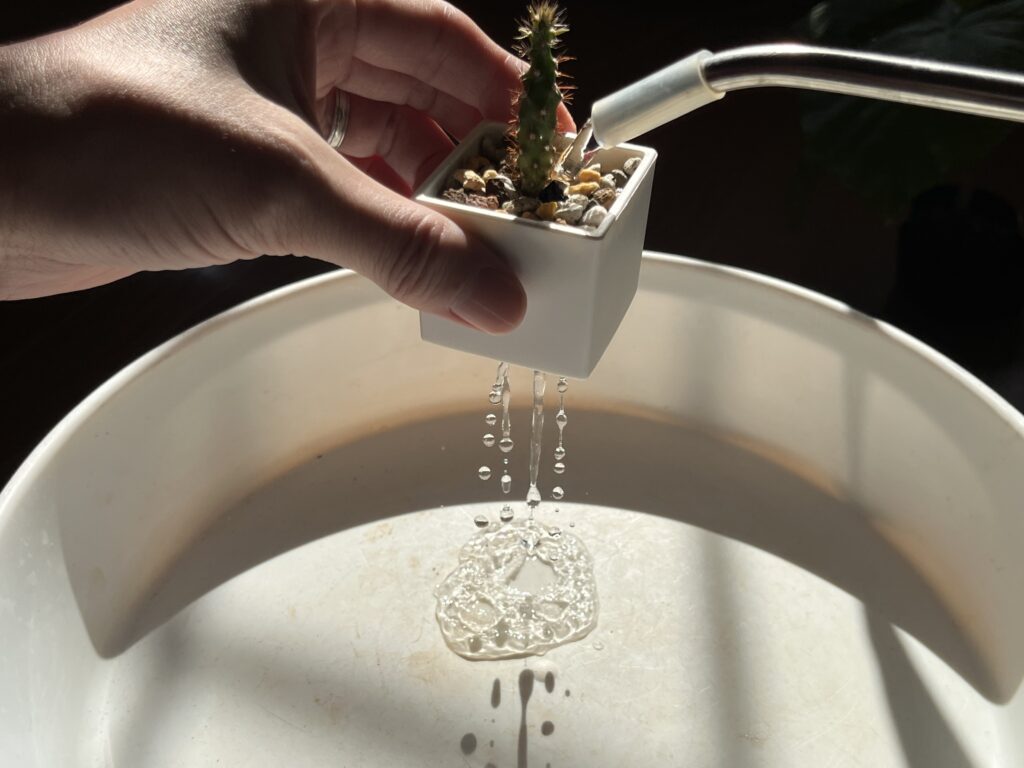 ミニポットの水捌け