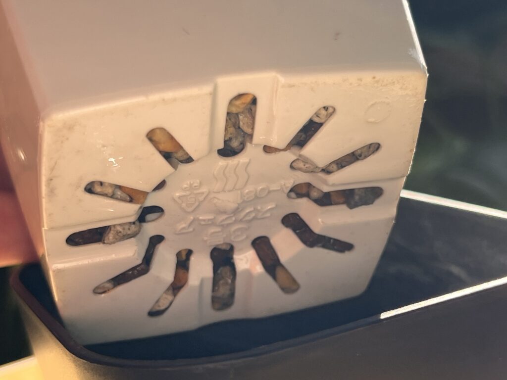 アグラオネマ植え替え1週間後の様子（鉢底）