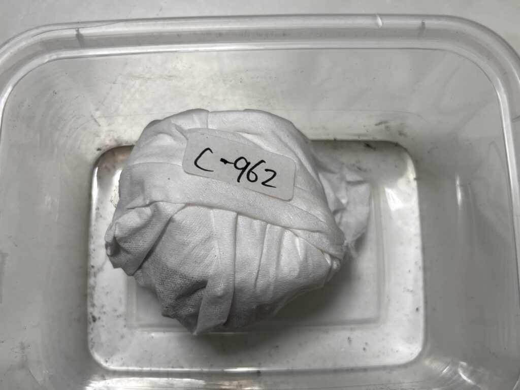 ティッシュにくるまれている様子