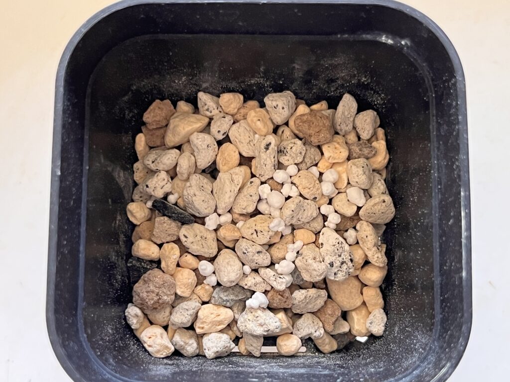 ①用土と元肥、防虫剤を入れた様子