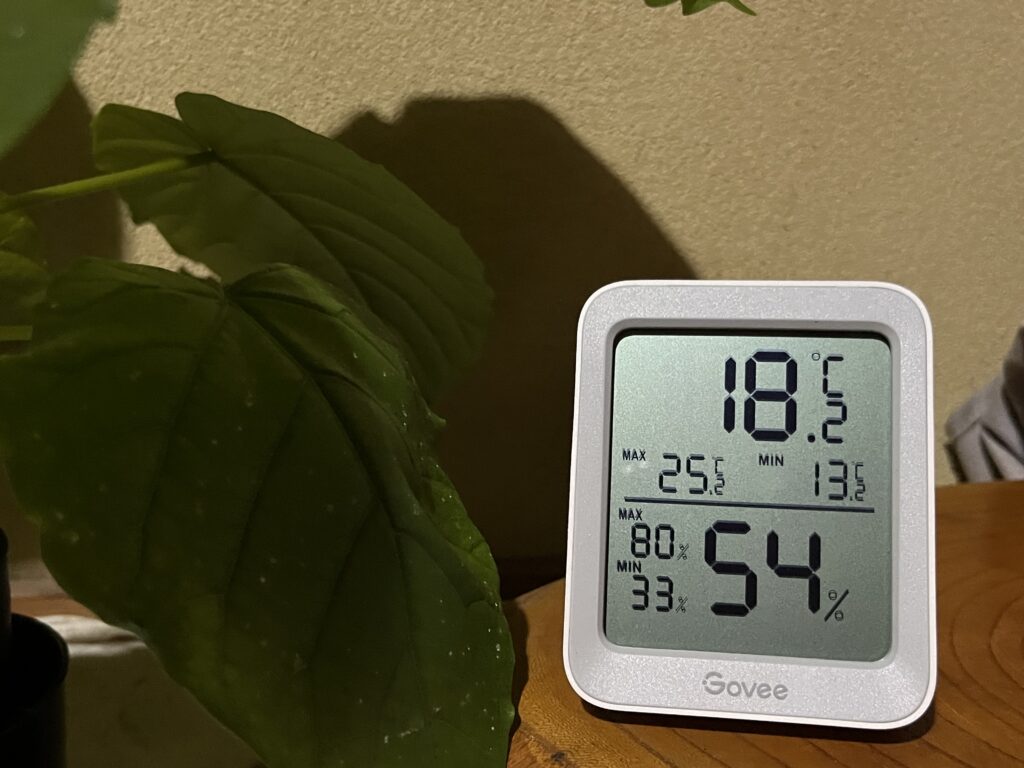 実験開始の様子②