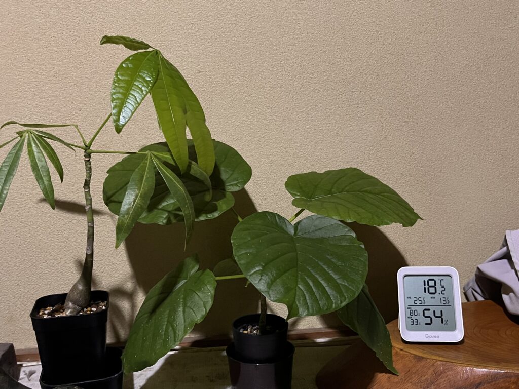 実験開始の様子①