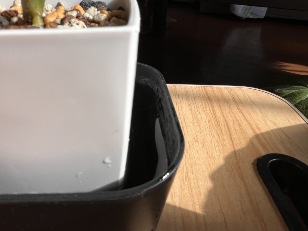 容器の9割くらいまで入った瑞代の画像