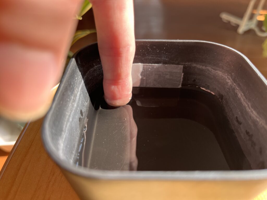 パキラの容器にメンディングテープで目印を浸けた様子（指との比較）