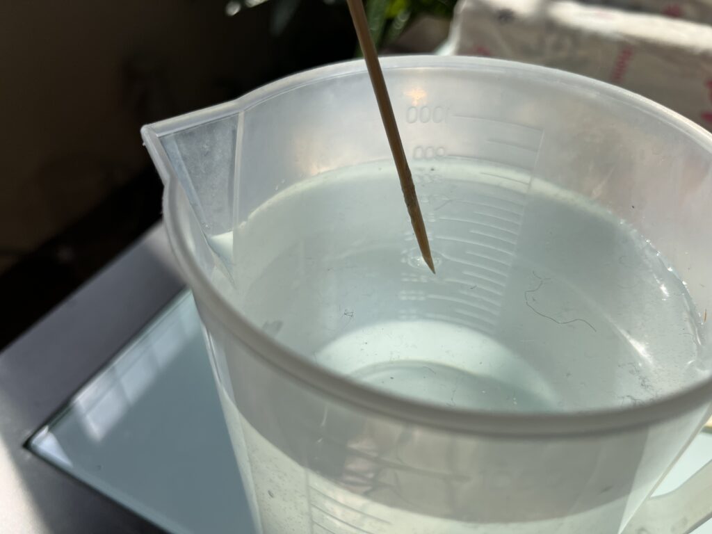 竹串を水に濡らしている様子