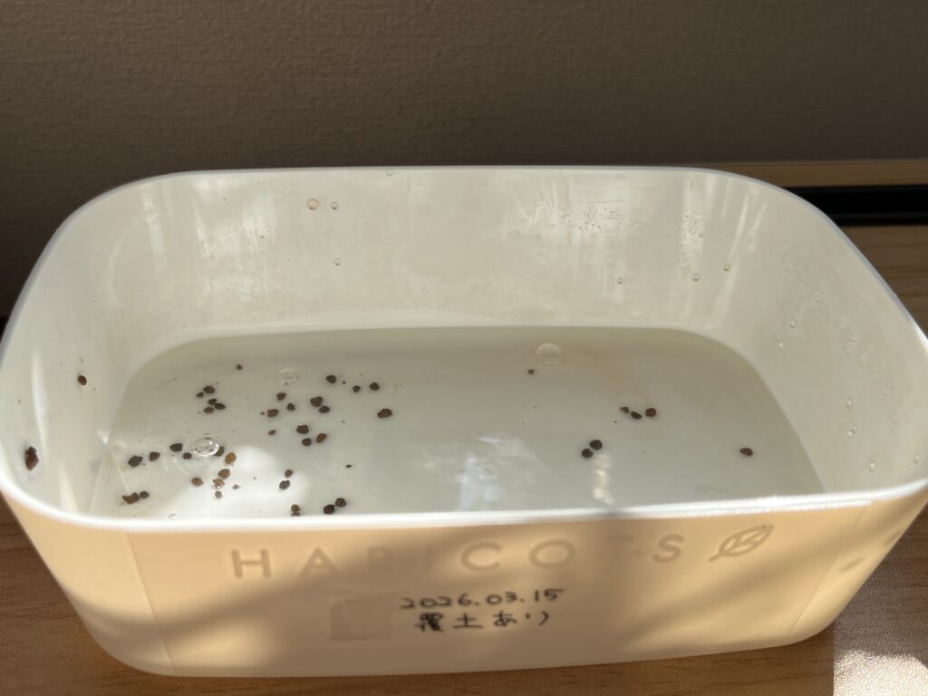 赤玉土がこぼれた様子