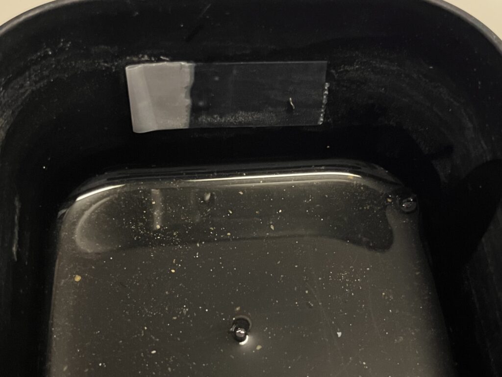 ほとんど水がなくなった様子