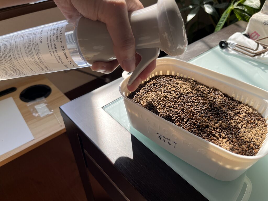 覆土した上から霧吹きしている様子