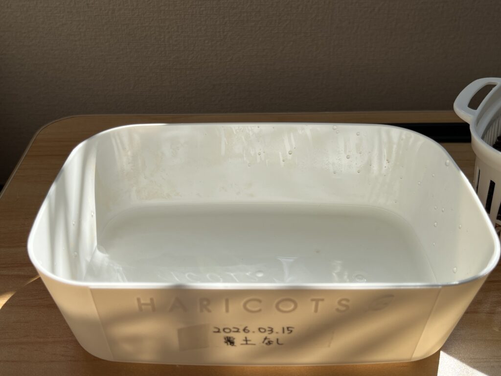 トレイに水を溜めている様子