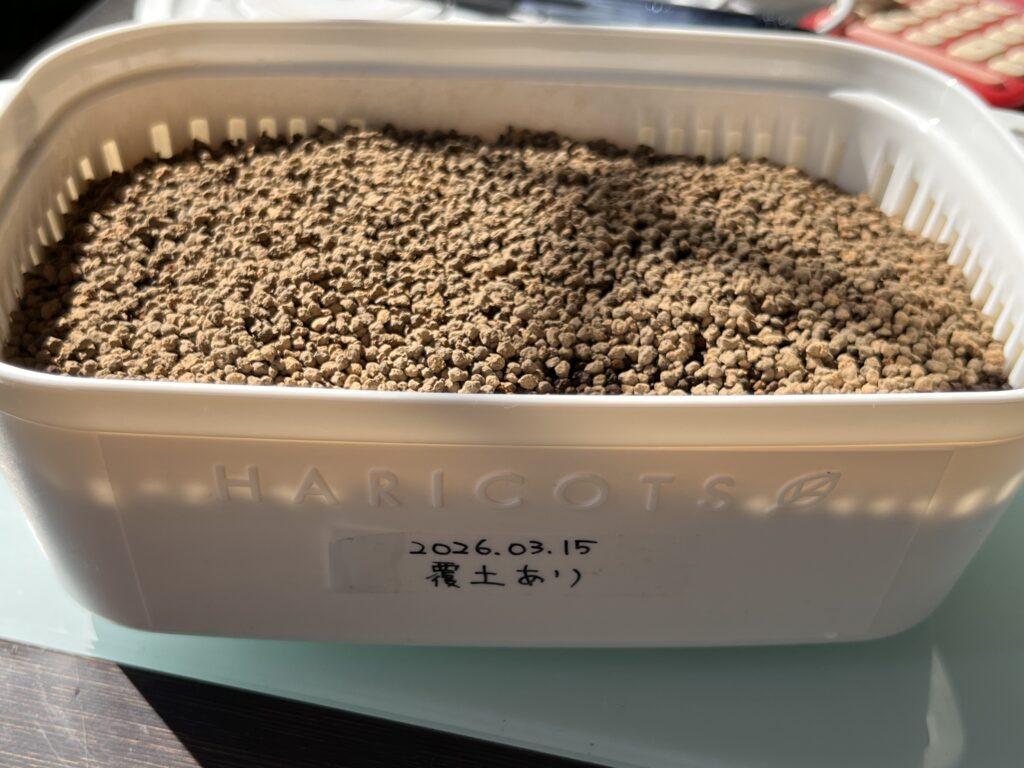 播種後に覆土した様子