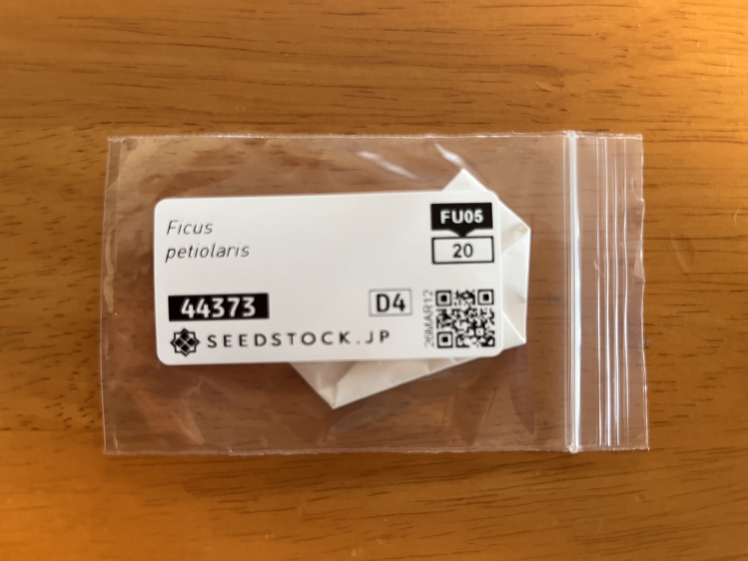 ペティオラリス種子