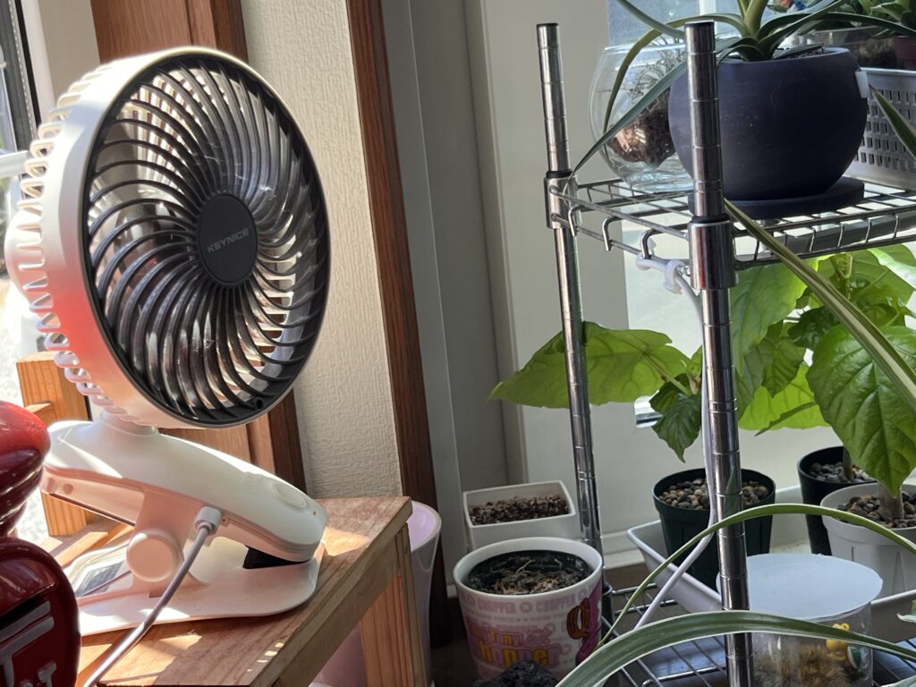観葉植物の根腐れ対策に使っている小型扇風機