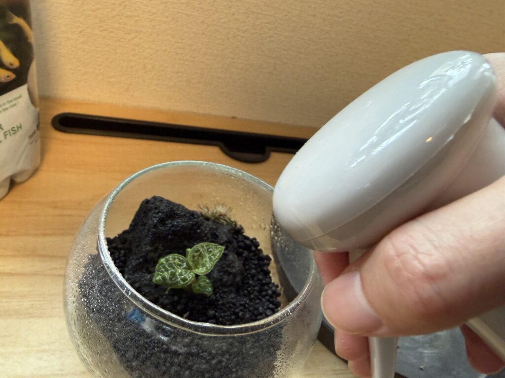 霧吹きしている様子