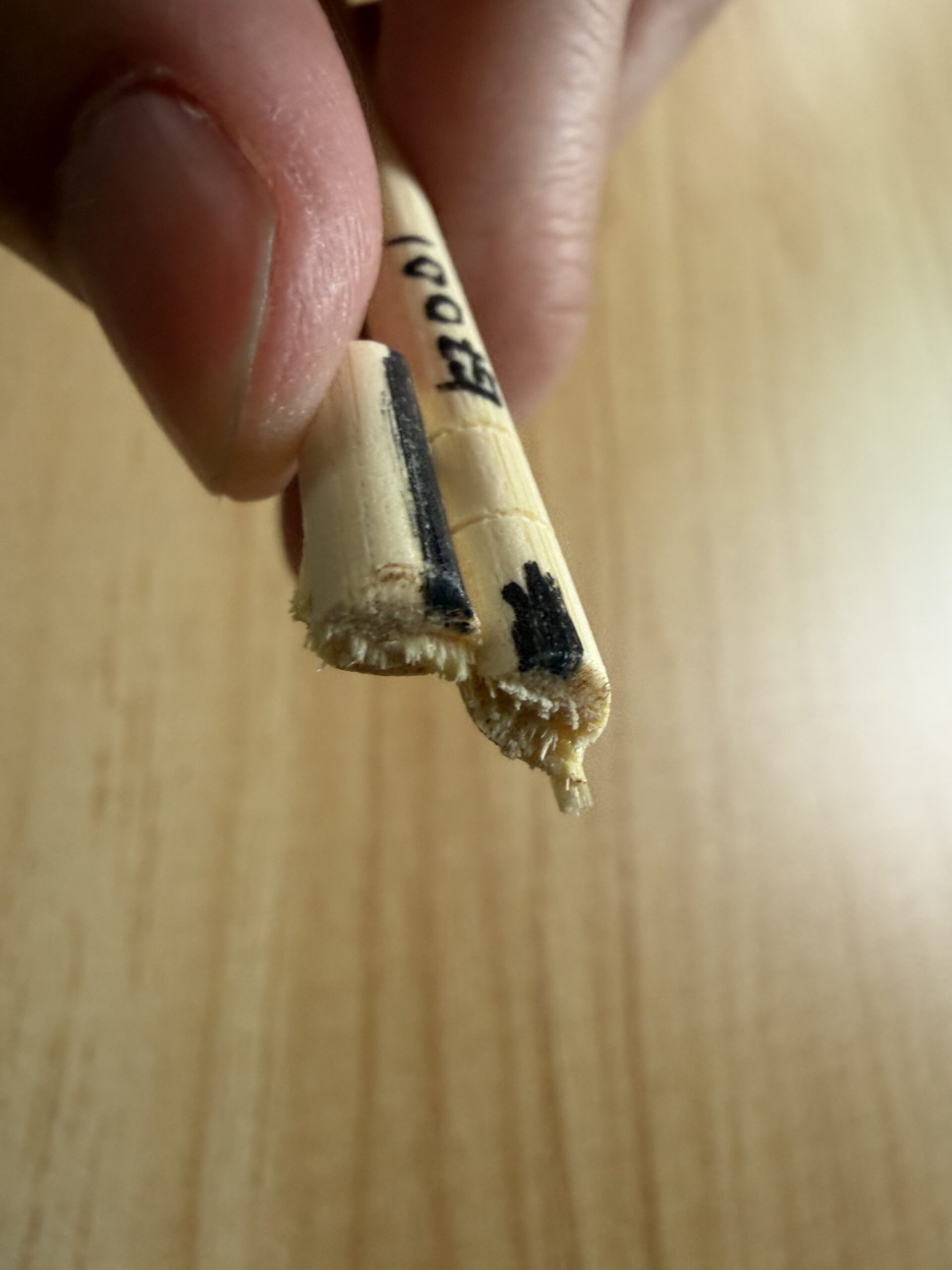 100均の剪定ハサミで割り箸をカットした断面