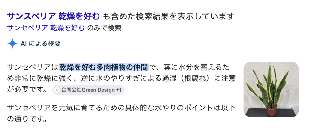 検索結果:サンセベリア