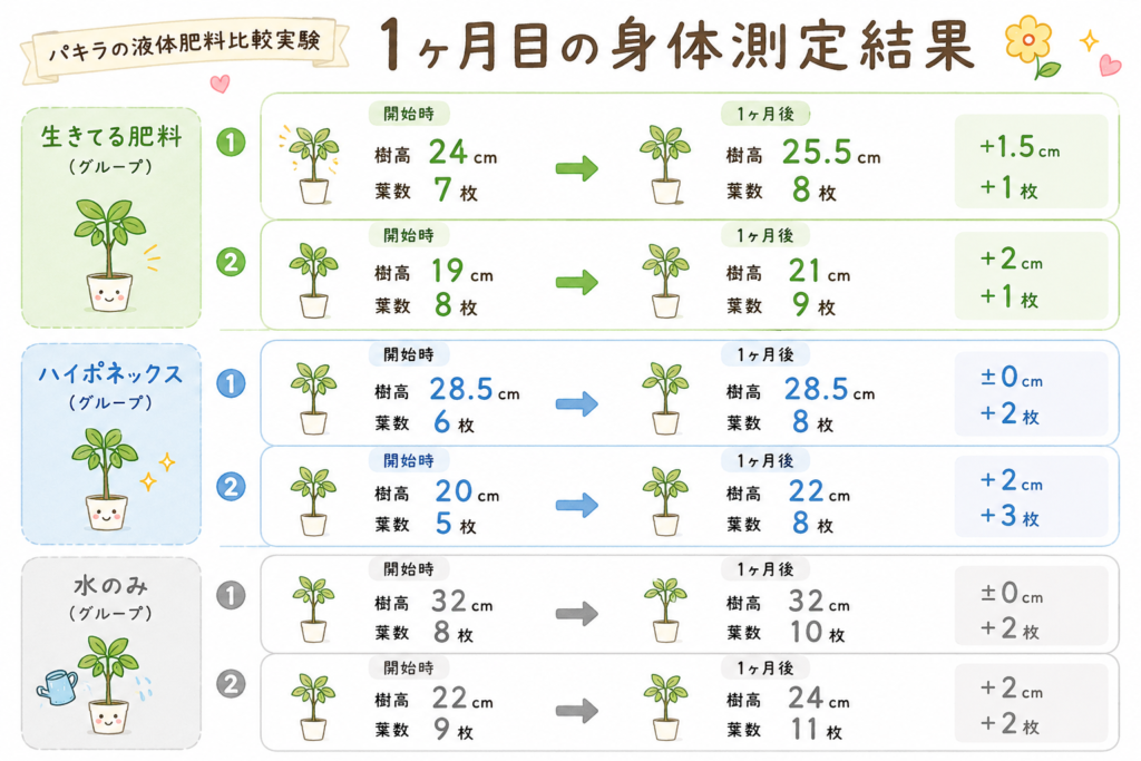 パキラの液体肥料比較実験・1ヶ月目の身体測定結果まとめ