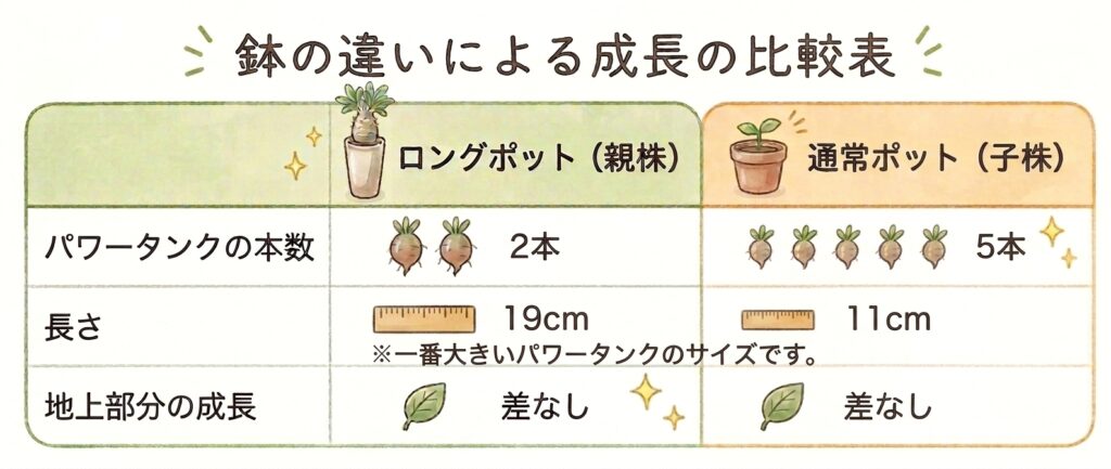 鉢の違いによる成長の比較表。パワータンクの本数はロングポット2本・通常ポット5本、長さはロングポット19cm・通常ポット11cm（一番大きいパワータンクのサイズ）、地上部分の成長はどちらも差なし
