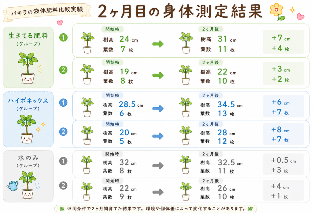 パキラの液体肥料比較実験・2ヶ月目の身体測定結果まとめ
