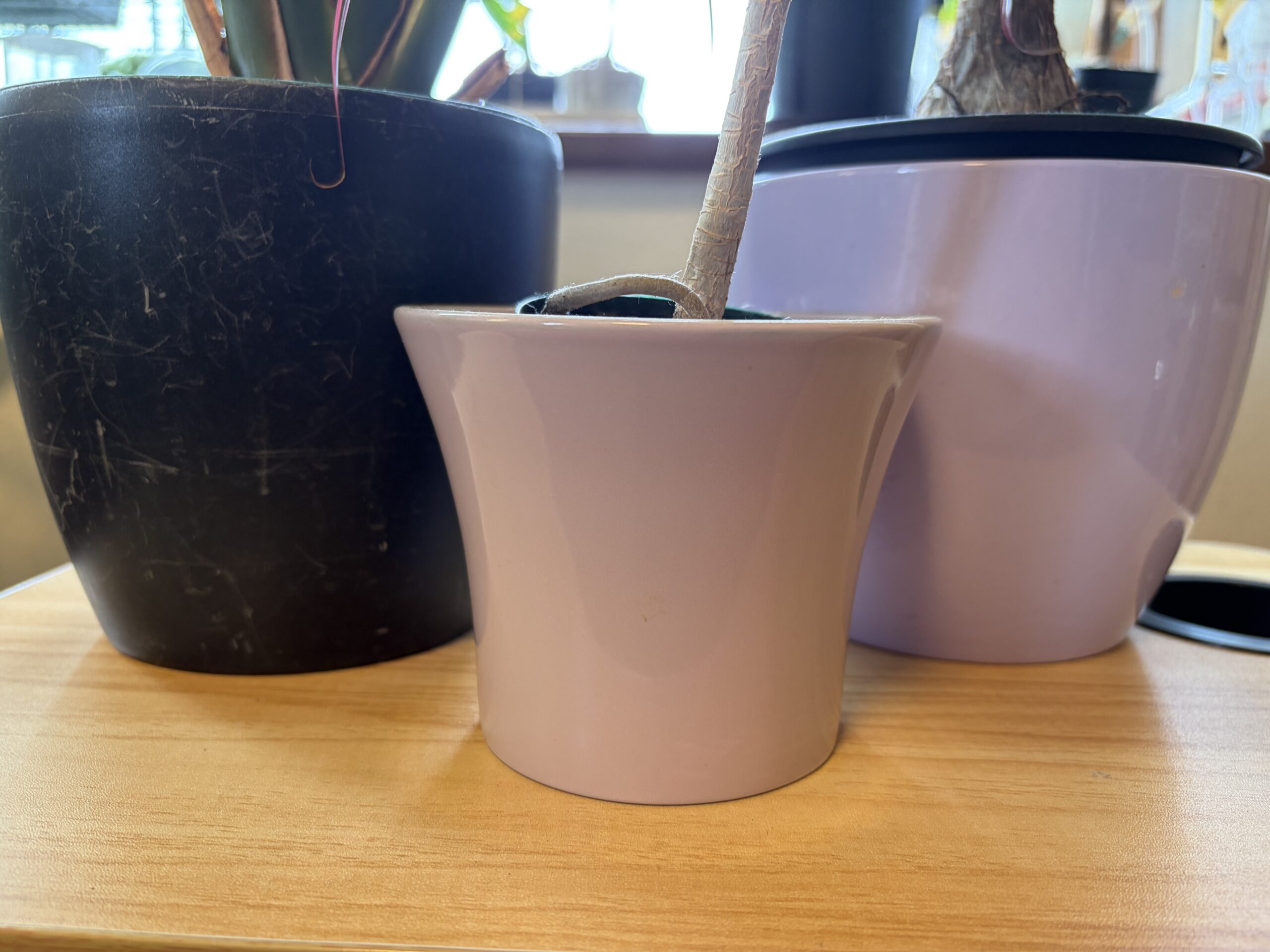 黒いプラスチック製と2つの陶器製の鉢カバーを並べた様子