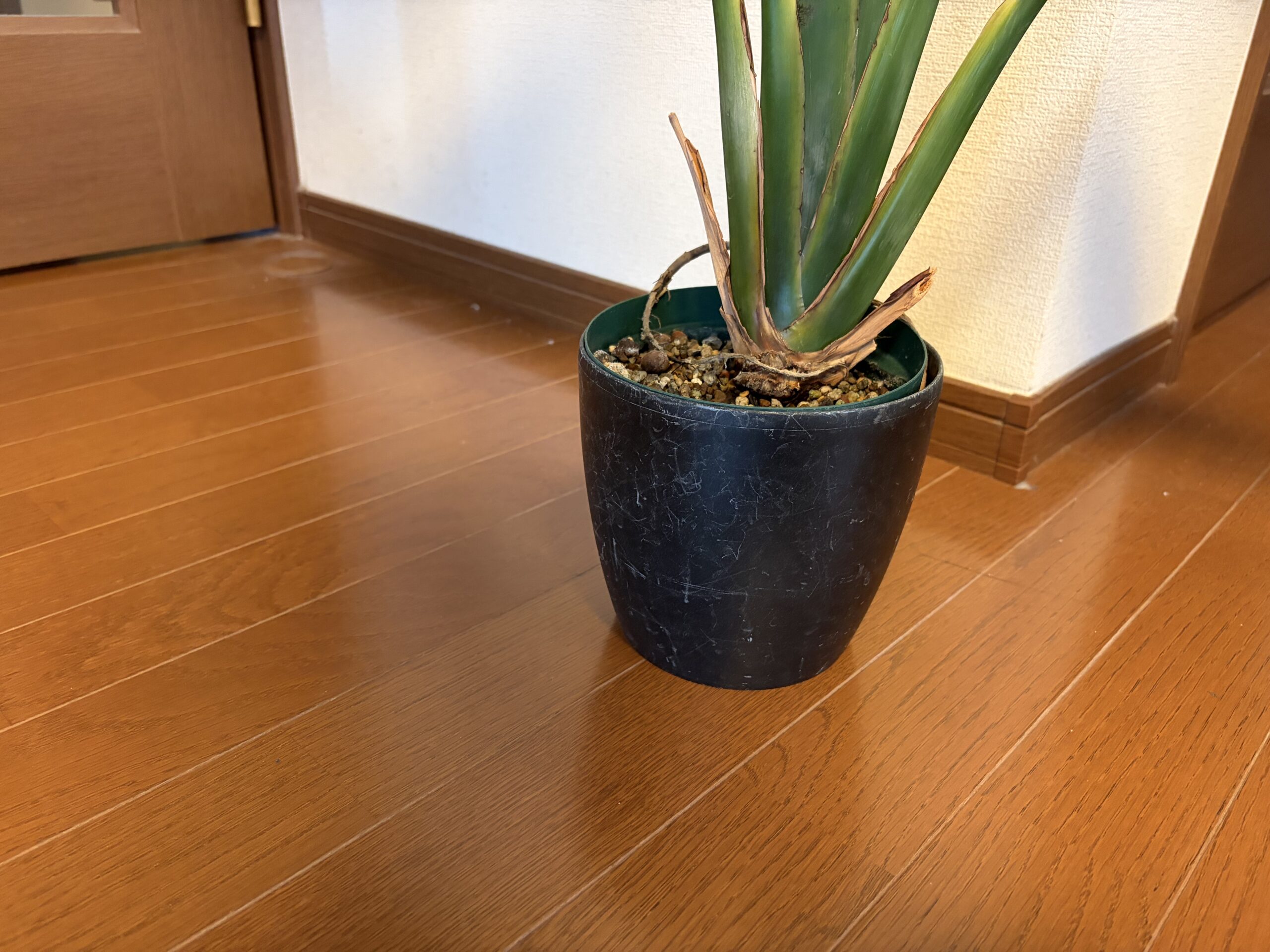 黒い鉢カバーの中に緑のスリット鉢が入っている様子