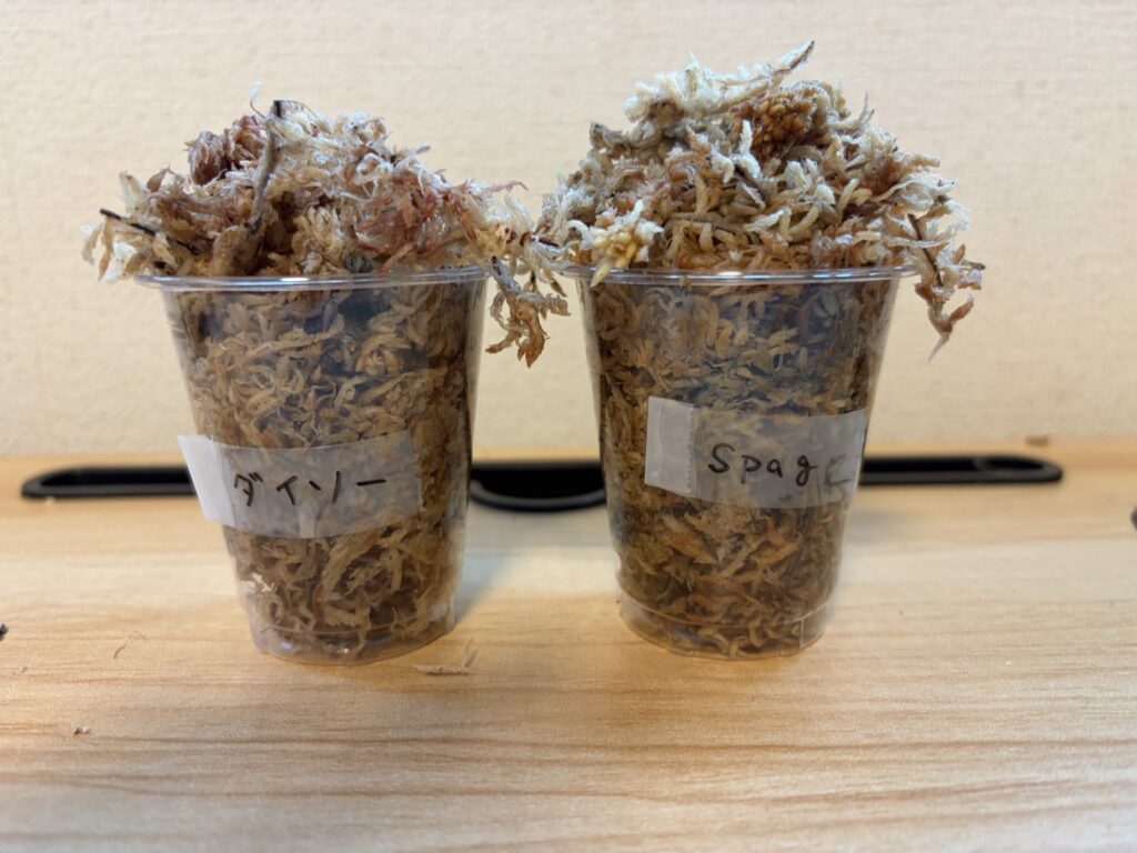 戻したダイソーとスパグモスを並べたところ