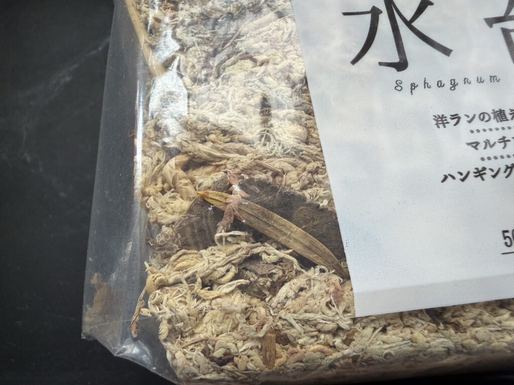 ダイソーの水苔の袋の中に見える枝