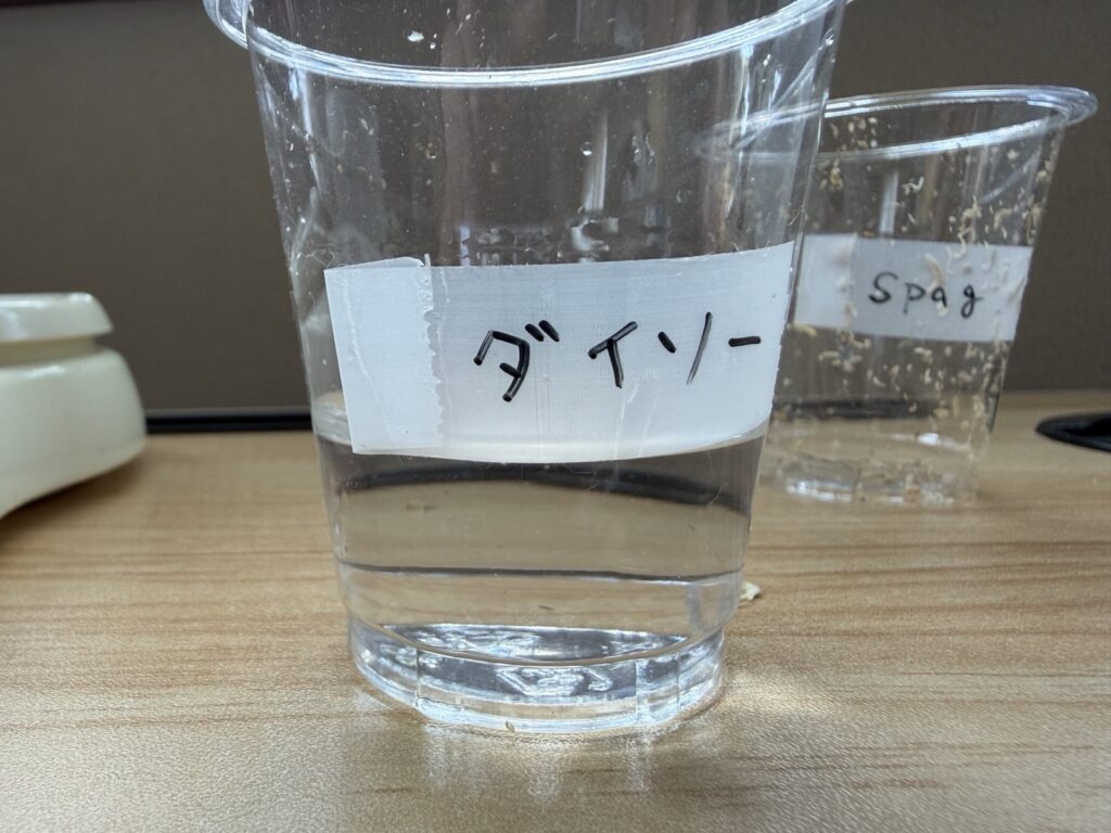 水苔を水に浸ける前のカップ2つ