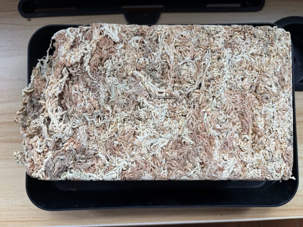 袋から出したニュージーランド産スパグモスの圧縮ブロック