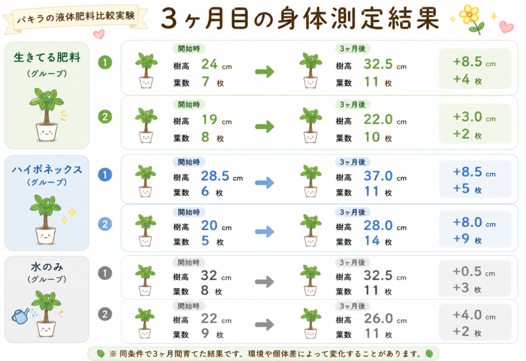 パキラの液体肥料比較実験・3ヶ月目の身体測定結果